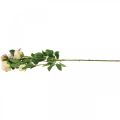 Floristik24 Rose branch, silk roses, artificial branch pink, cream L66cm Ø3/5cm
