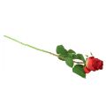 Floristik24 Rose branch silk flower artificial rose red 72cm