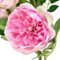 Floristik24 Rose branch silk roses artificial branch roses pink cream 79cm
