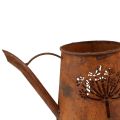 Floristik24 Rust decorative watering can metal dandelion patina 25×12×12cm