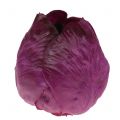 Floristik24 Artificial red cabbage Real-Touch Ø12cm