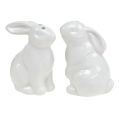 Floristik24 Salt and pepper shaker rabbit white 1p