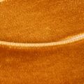 Velvet ribbon, decorative ribbon for crafting and packaging, 20mm, 10m | Floristik24.ie