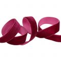 Floristik24 Velvet ribbon Erika 20mm 10m