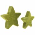 Floristik24 Scatter decoration stars flocked moss green 4cm/5cm 40p