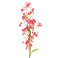 Floristik24 Artificial flowering branch Oncidium orchid decoration 112cm 3pcs