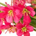 Artificial flowering branch Oncidium orchid decoration 112cm 3pcs | Floristik24.ie