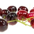 Floristik24 Artificial fruits sour cherries mix Ø1.5cm 108p