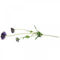 Floristik24 Scabious artificial flower purple H64cm bunch with 3pcs