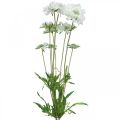 Floristik24 Scabious artificial flower white garden flower H64cm bunch with 3pcs