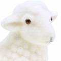 Floristik24 Easter decoration lamb lying flocked white H15cm
