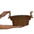 Decorative bowl, reindeer head, oval, rust-colored, rustic, 41cm | Floristik24.ie