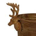 Decorative bowl, reindeer