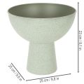 Bowl with stand for plants, decorative bowl, 25cm | Floristik24.ie