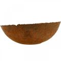 Floristik24 Decorative bowl metal decorative bowl patina look Ø30cm H8.5cm