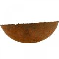Decorative metal bowl, decorative bowl with a rustic look, Ø30cm H8.5cm | Floristik24.ie