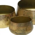 Floristik24 Decorative bowl brass metal bowl Ø20/16.5/12.5cm set of 3