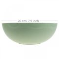 Floristik24 Decorative bowl green pastel plastic table decoration spring Ø20cm