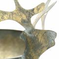Floristik24 Bowl with reindeer head golden vintage look metal Ø9.5cm 2pcs