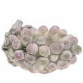 Decorative bowl grapes gray purple cream 19×14cm H9.5cm