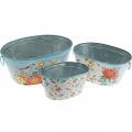 Floristik24 Plant bowls, spring, planter flowers / birds, metal container oval L39 / 31 / 24.5cm, set of 3