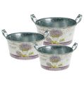 Floristik24 Planter bowl set of 3 round lavender Ø17-23cm