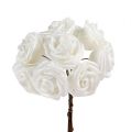 Floristik24 Foam roses white with mother-of-pearl Ø2.5cm 120p