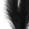 Floristik24 Feather Grass Black Chinese Reed Artificial Dry Grass 100cm 3pcs