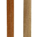 Reed Cob Mix Natural Decorative Reed 70cm 100 Pcs | Floristik24.ie