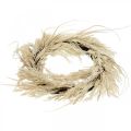 Floristik24 Deco wreath pampas grass and artificial reed cream 70cm