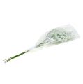 Floristik24 Gypsophila artificial flowers white 52cm 6pcs