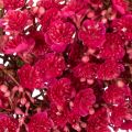 Artificial flower wreath, baby's breath decoration, 30cm | Floristik24.ie