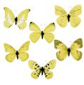 Floristik24 Butterfly yellow on clip 11cm 6pcs