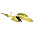 Floristik24 Butterfly yellow on clip 11cm 6pcs
