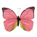 Floristik24 Butterfly pink on clip 11cm 6pcs