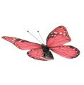 Floristik24 Butterfly pink on clip 11cm 6pcs