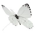 Floristik24 Butterfly white 20cm on wire 2pcs