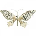 Floristik24 Butterfly to clamp, tree decoration, Advent, wedding decoration, decoration clip L16cm W13cm
