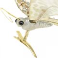 Floristik24 Butterfly to clamp, tree decoration, Advent, wedding decoration, decoration clip L16cm W13cm