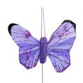 Floristik24 Butterfly 5cm pink-lilac ass. 24pcs