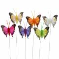 Floristik24 Decorative butterfly with wire sorted 5cm 24pcs