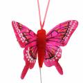 Floristik24 Decorative butterfly with wire 5cm 24pcs