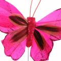 Floristik24 Feather butterfly with wire 7cm pink purple 24pcs