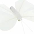 Floristik24 Feather butterfly on clip white 7-8cm 8pcs
