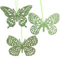 Floristik24 Decoration hanger butterfly green glitter8cm 12pcs