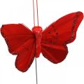 Floristik24 Spring, feather butterflies with mica, deco butterfly red, orange, pink, violet 4×6.5cm 24pcs