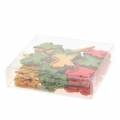 Floristik24 Scattered decoration butterfly wood orange, yellow, green 4cm 72p