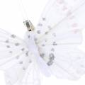 Feather butterfly on clip white 10cm 12 p