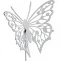 Floristik24 Flower plug butterfly, garden decoration metal, plant plug shabby chic white, silver L51cm 3pcs