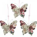 Floristik24 Butterfly for hanging metal deco hanger 9cm spring decoration 6pcs